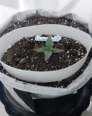 20230804_173034.jpg 20230804_173034.jpg