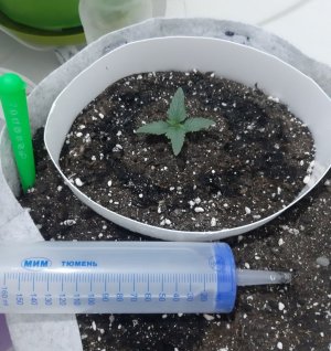 20230804_180507.jpg 20230804_180507.jpg