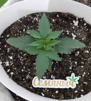 20230805_113036.jpg 20230805_113036.jpg