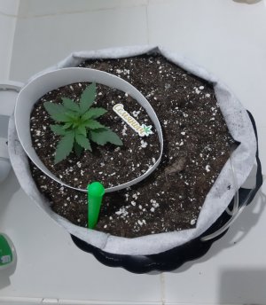 20230805_112844.jpg 20230805_112844.jpg