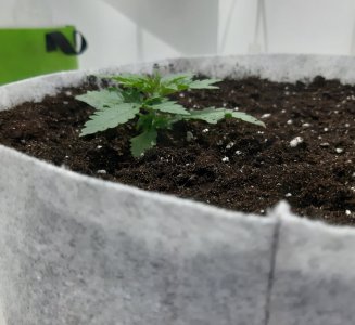 20230805_112826.jpg 20230805_112826.jpg