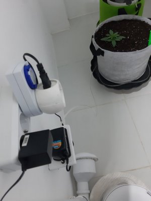 20230805_112637.jpg 20230805_112637.jpg