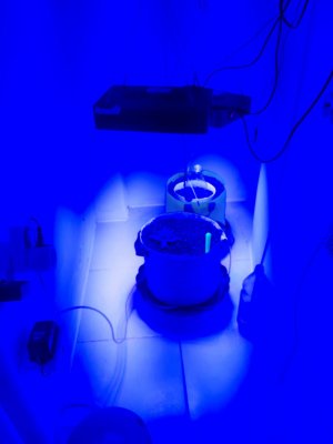 20230805_112612.jpg 20230805_112612.jpg