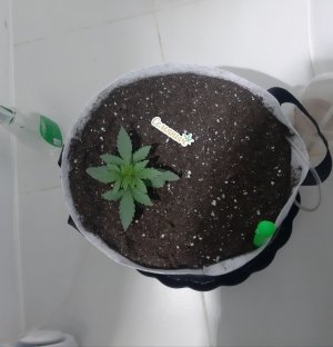 20230806_112206.jpg 20230806_112206.jpg