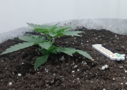 20230806_112149.jpg 20230806_112149.jpg