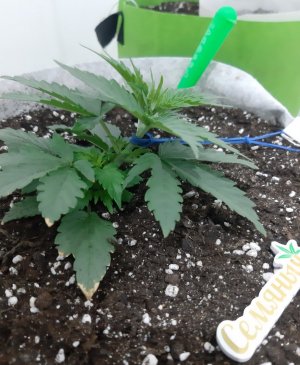 20230807_184044.jpg 20230807_184044.jpg