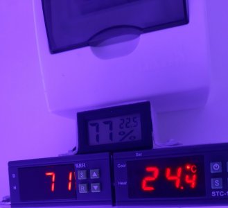 20230807_184001.jpg 20230807_184001.jpg