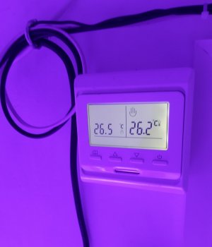 20230807_183932.jpg 20230807_183932.jpg