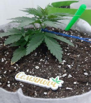 20230807_184428.jpg 20230807_184428.jpg