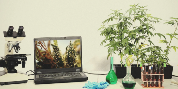 1629217705377.png 1629217705377.png