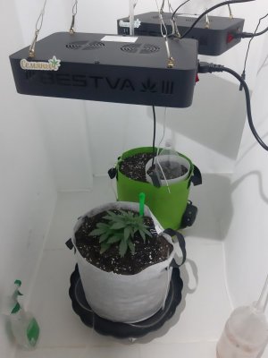 20230808_185010.jpg 20230808_185010.jpg