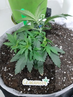 20230808_192037.jpg 20230808_192037.jpg