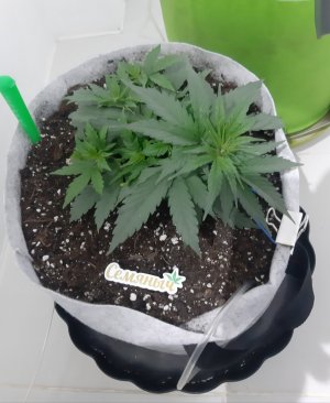 20230808_193157.jpg 20230808_193157.jpg