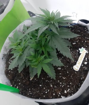 20230808_193218.jpg 20230808_193218.jpg