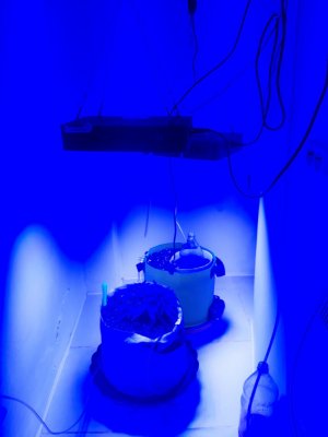 20230808_193253.jpg 20230808_193253.jpg