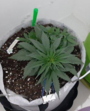 20230809_171949.jpg 20230809_171949.jpg