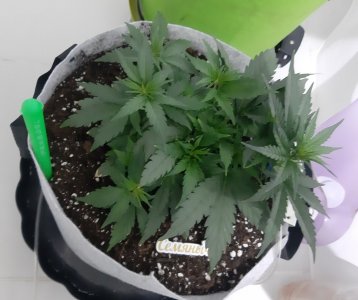 20230809_183509.jpg 20230809_183509.jpg