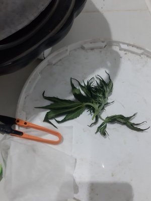 20230810_192053.jpg 20230810_192053.jpg