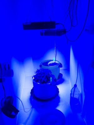 20230810_191555.jpg 20230810_191555.jpg