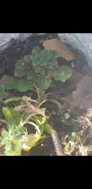 S30810-153554.png S30810-153554.png