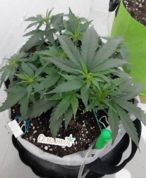 20230811_194753.jpg 20230811_194753.jpg