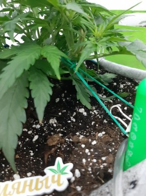 20230811_194737.jpg 20230811_194737.jpg