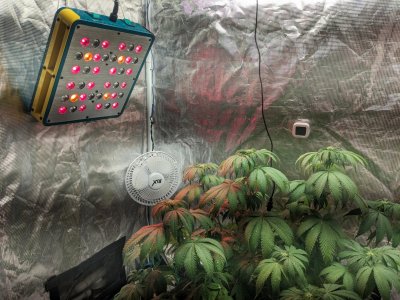 PXL_20230810_185539125.jpg PXL_20230810_185539125.jpg