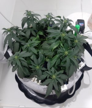 20230812_111121.jpg 20230812_111121.jpg