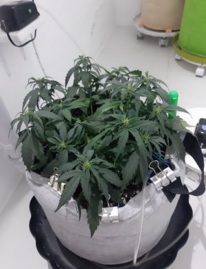 20230812_111203.jpg 20230812_111203.jpg