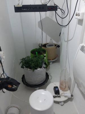 20230812_112500.jpg 20230812_112500.jpg