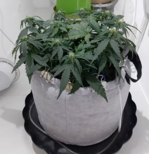 20230812_201119.jpg 20230812_201119.jpg