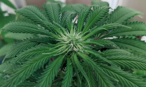 1691917266480.png 1691917266480.png