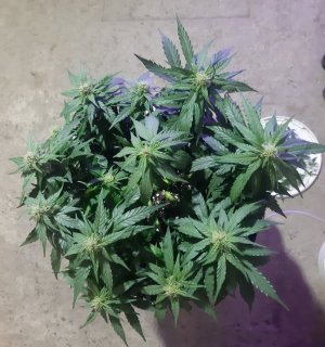 20230813_143558.jpg 20230813_143558.jpg