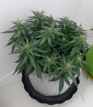 20230813_143411.jpg 20230813_143411.jpg