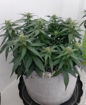 20230814_224110.jpg 20230814_224110.jpg