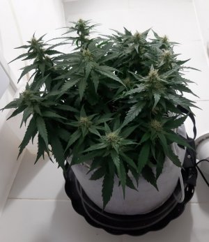 20230814_224634.jpg 20230814_224634.jpg