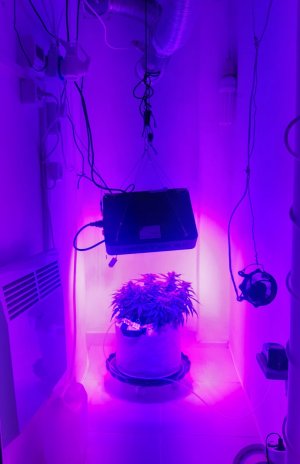 20230814_224927.jpg 20230814_224927.jpg