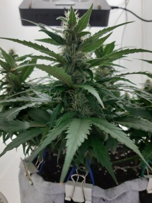 20230815_200844.jpg 20230815_200844.jpg