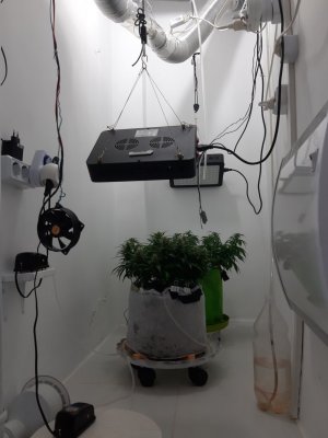 20230815_200815.jpg 20230815_200815.jpg