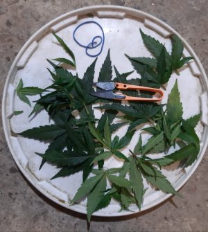 20230817_154807.jpg 20230817_154807.jpg