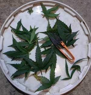 20230817_155458.jpg 20230817_155458.jpg