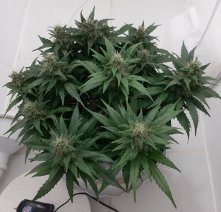 20230819_150148.jpg 20230819_150148.jpg