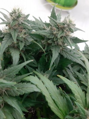 20230819_150124.jpg 20230819_150124.jpg