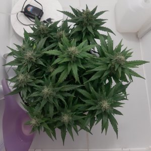 20230819_150755.jpg 20230819_150755.jpg