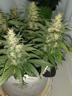 20230819_150643.jpg 20230819_150643.jpg