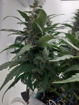 20230820_120100.jpg 20230820_120100.jpg