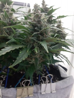 20230820_120132.jpg 20230820_120132.jpg