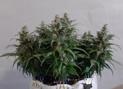 20230821_201201.jpg 20230821_201201.jpg