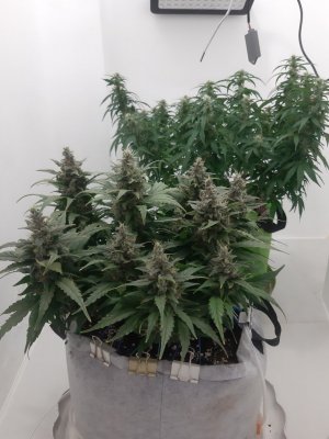 20230820_120501.jpg 20230820_120501.jpg