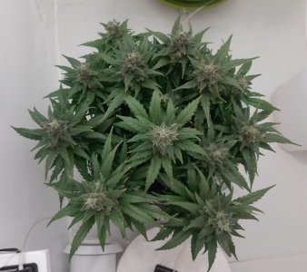 20230821_213418.jpg 20230821_213418.jpg